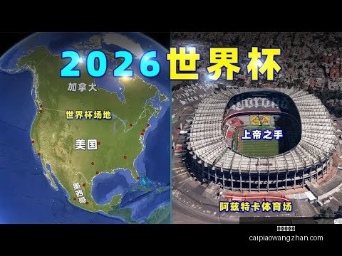 苏炳添明年,退役,全运会赛事,彩票在线购买,买彩票网站,彩票开奖平台